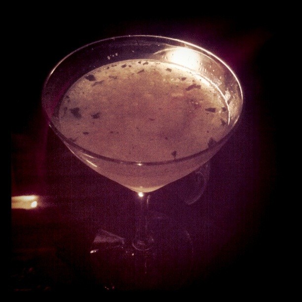 The Experimental Cocktail Club