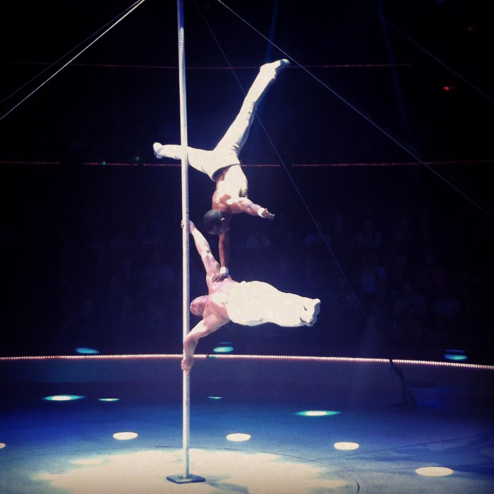 acrobates cirque 