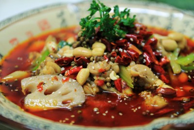 pont de sichuan