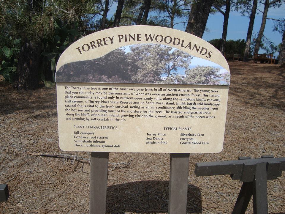 entrée torrey pines